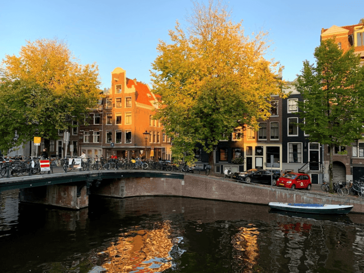 Morning Sun on bright fall trees with yellow leaves with Amsterdam Canal Houses over water