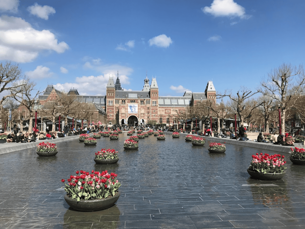 The Amsterdam Rijks Museum with tulips in circular planters across a pond