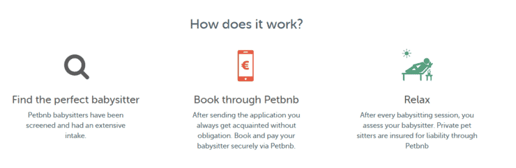 Petbnb Website details on the process from finding the babysitter to booking through the website