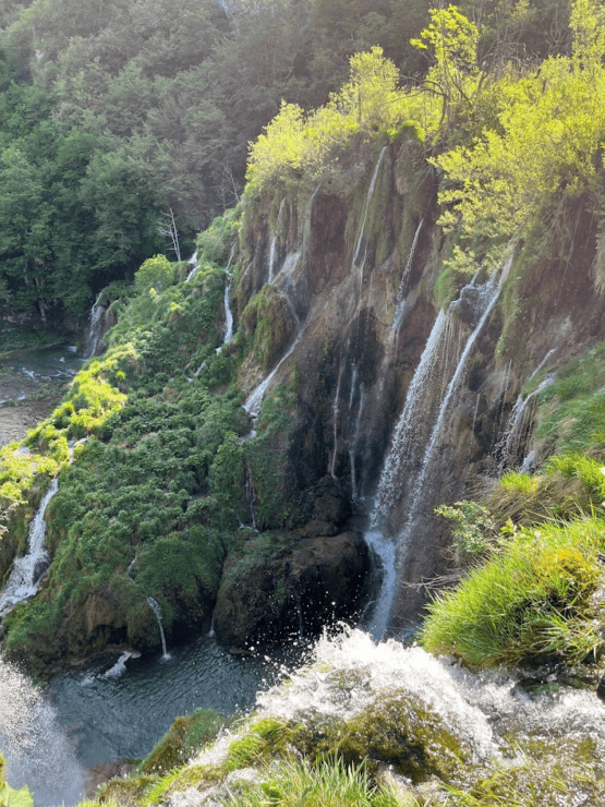waterfall cascades over cliff into a water basin with lots of plants on a Croatia Roadtrip