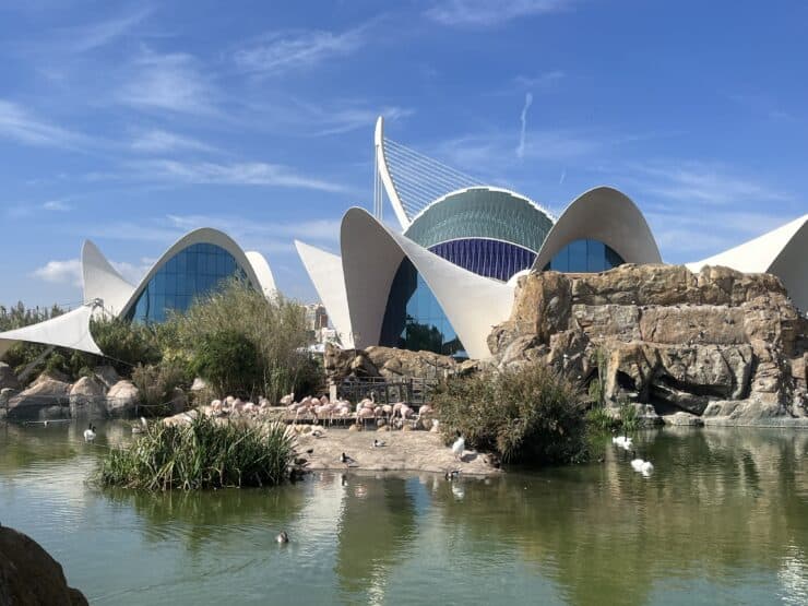 Outdoor picture of Oceanographic Valencia with a building, water and flamingos 