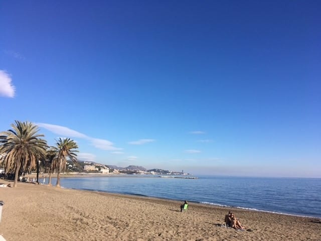 People sitting at the beach with palms