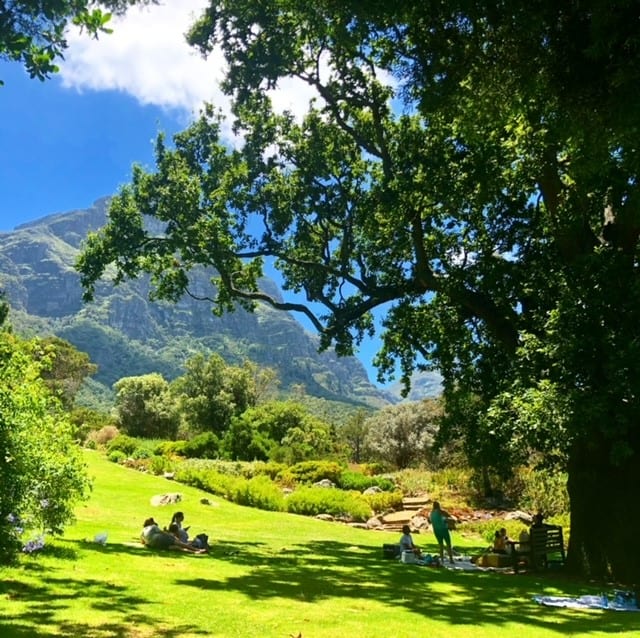 People having a picnic at Kirstenbosch Botanical Gardens