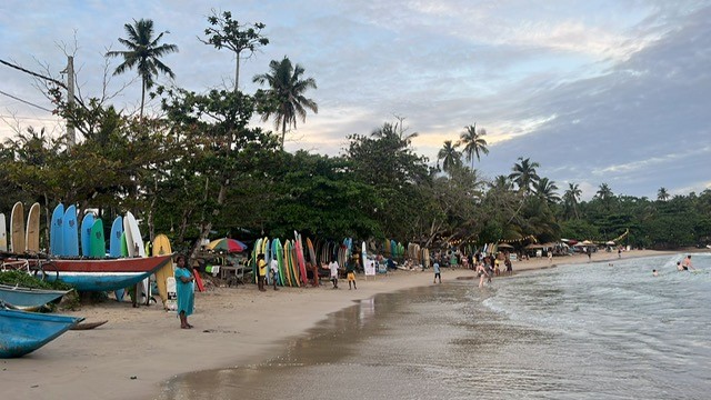 people at the beach with surf boards and palms