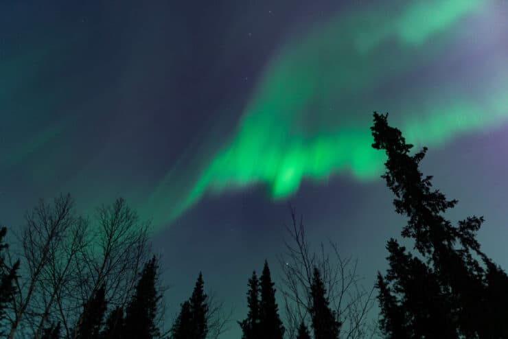 Magische Polarlichter Kiruna mit grünen Lichtern am Himmel und Bäumen im Schatten im Vordergrund