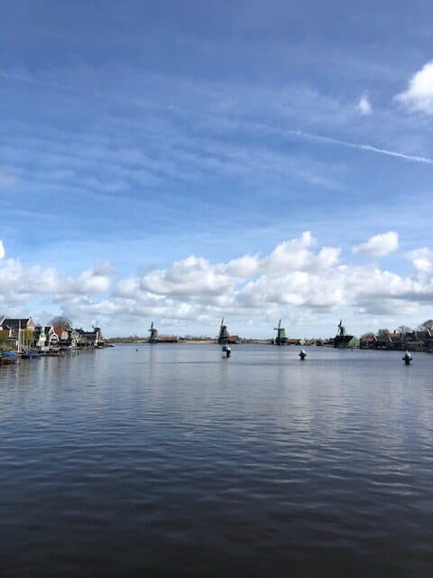 view of a river with windmills on the background