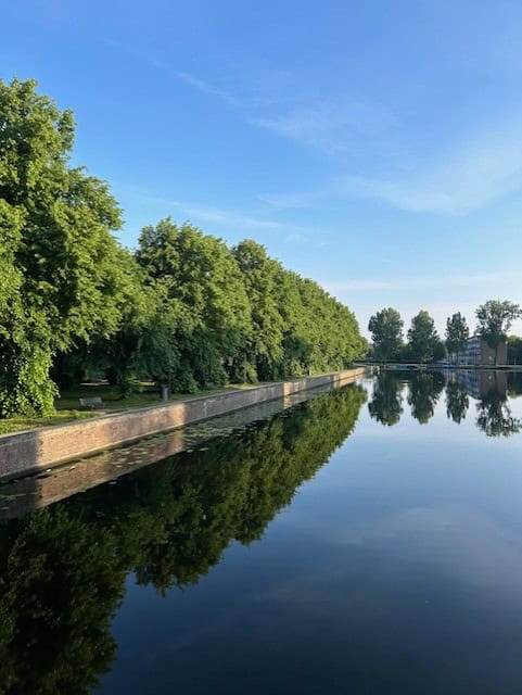 green trees in front of a river