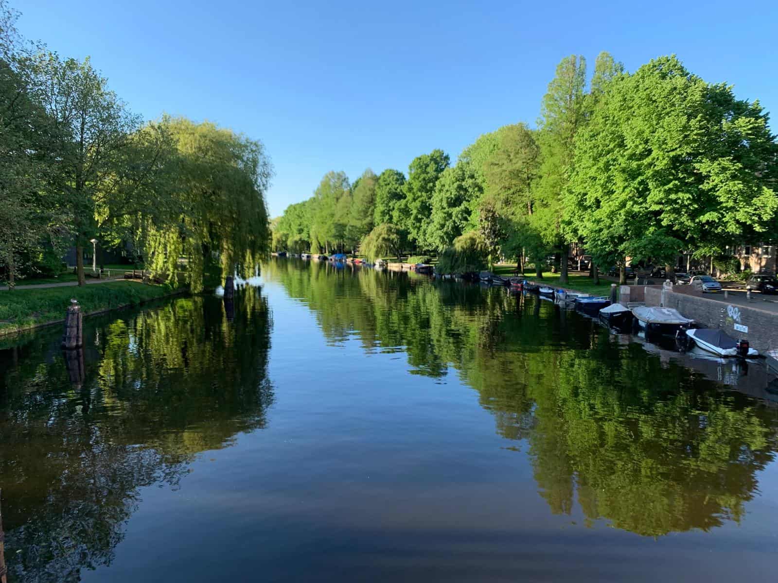 Green trees along a canal in Oud-West, Amsterdam
