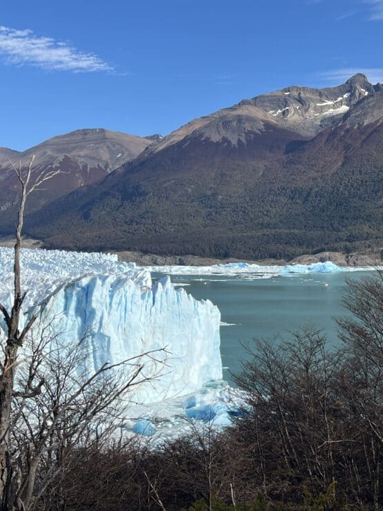 Perito Moreno Glacier - large blue textured glacier with mountain range behind and trees in the foreground