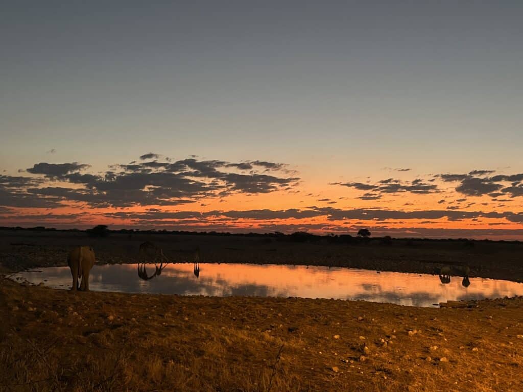 Lone elephant standing at the edge of a waterhole at sunset in Etosha National Park, Namibia, with the orange sky reflected in the water